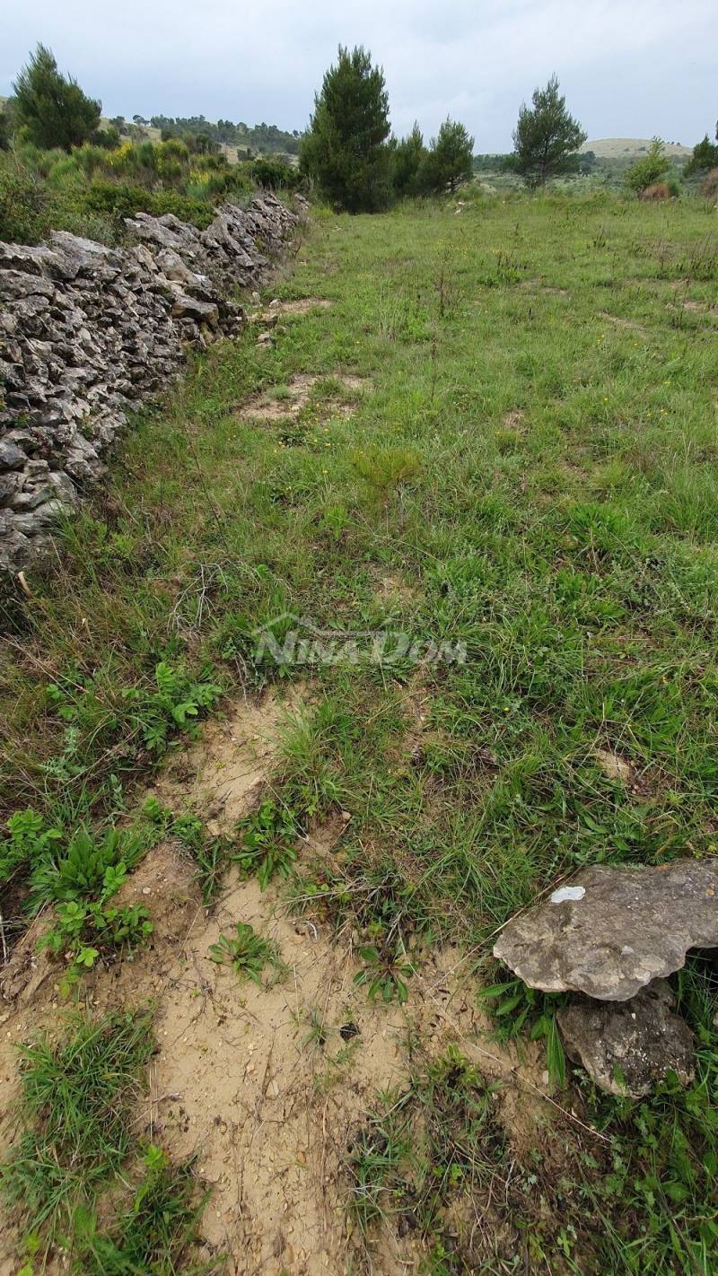 Zemědělská půda, 899 m2 - 5