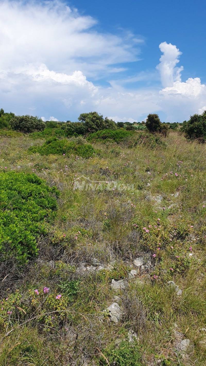 Zemědělská půda 7168 m2, přístup z asfaltu. Výhled na moře. - 2