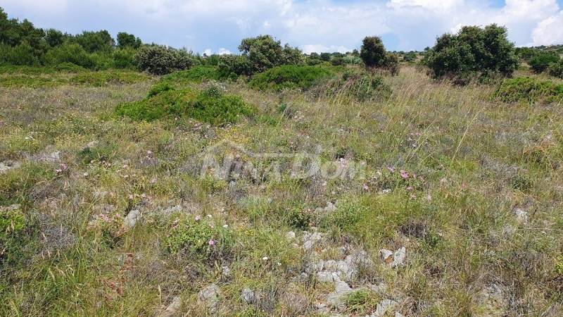 Zemědělská půda 7168 m2, přístup z asfaltu. Výhled na moře. - 3
