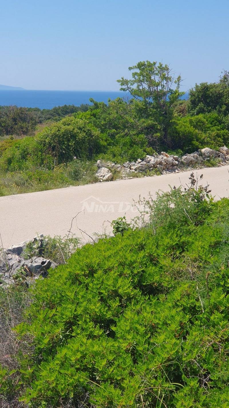 Zemědělská půda 7168 m2, přístup z asfaltu. Výhled na moře. - 5