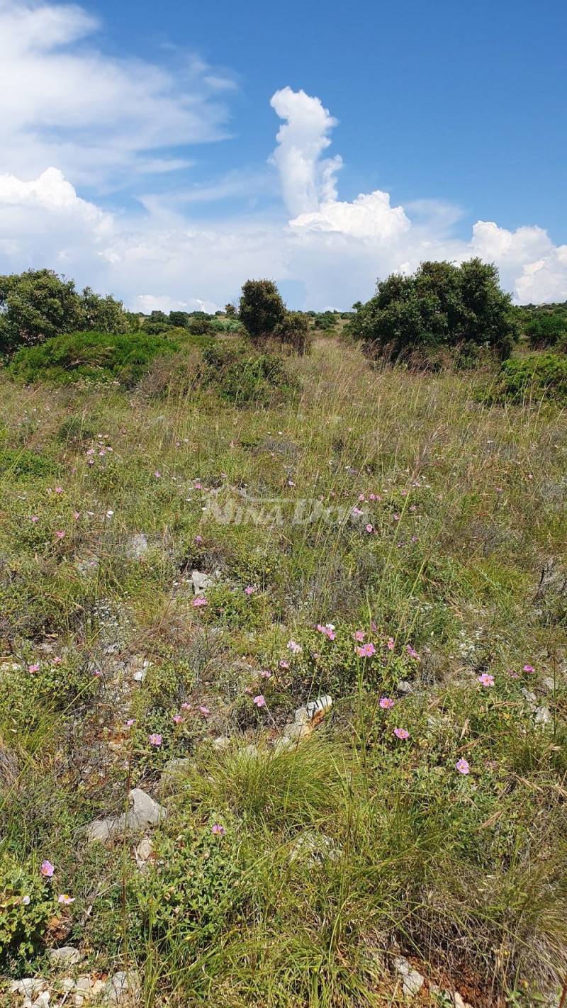 Zemědělská půda 7168 m2, přístup z asfaltu. Výhled na moře. - 7