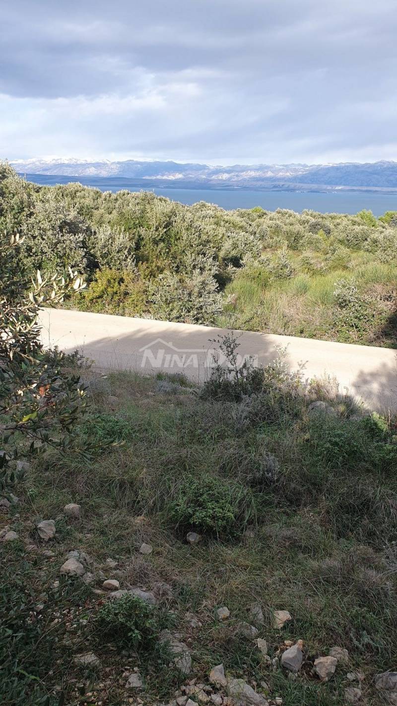 Zemědělská půda s krásným výhledem na moře a Velebit 5 € m2 - 1