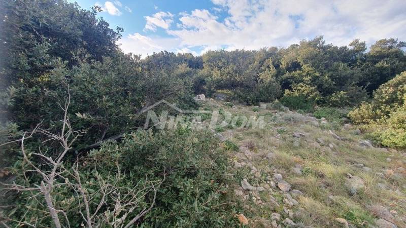 Zemědělská půda s krásným výhledem na moře a Velebit 5 € m2 - 2
