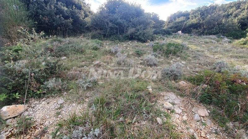 Zemědělská půda s krásným výhledem na moře a Velebit 5 € m2 - 4