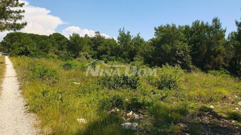 656 m2, nezastavěná část stavební zóny, nutná příprava záměru UPU - 5