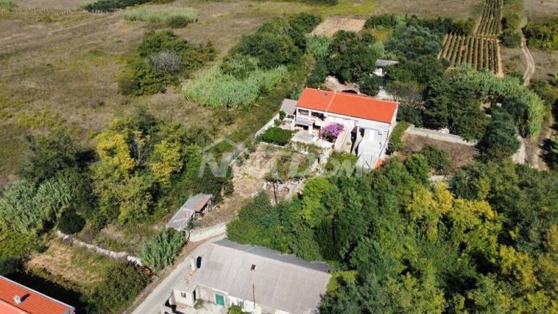 Rodinná nemovitost s krásným olivovým hájem a vinicí - 1