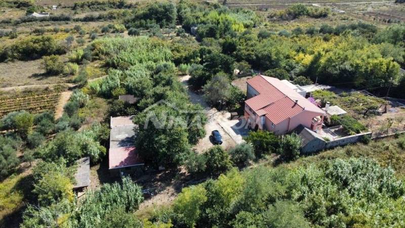 Rodinná nemovitost s krásným olivovým hájem a vinicí - 14