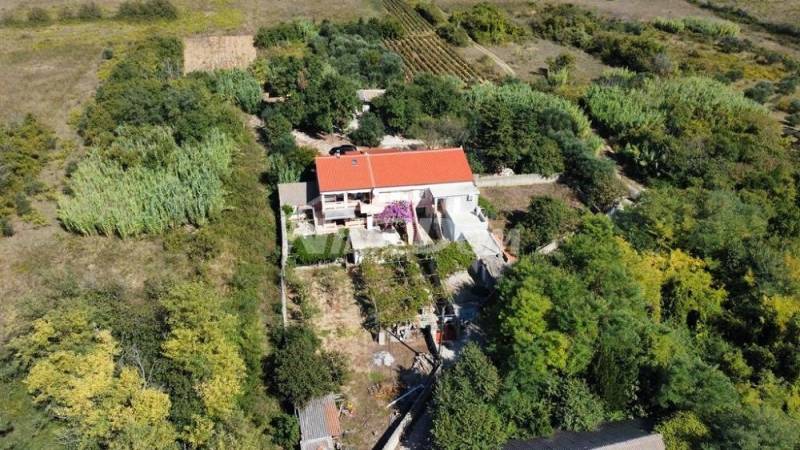 Rodinná nemovitost s krásným olivovým hájem a vinicí - 15