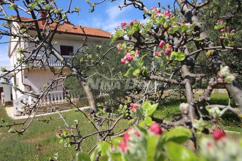 Centrum ostrova Vir, prostorná zahrada, dva třípokojové byty, garáž - 4