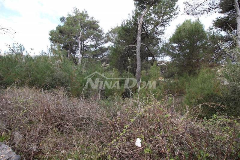 Pozemek pod plánem UPU 80€/1m2. - 2