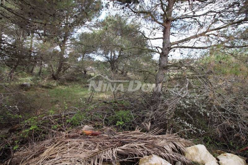 Pozemek pod plánem UPU 80€/1m2. - 3