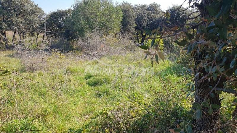 Izgrađeni dio građevinske zone - 5