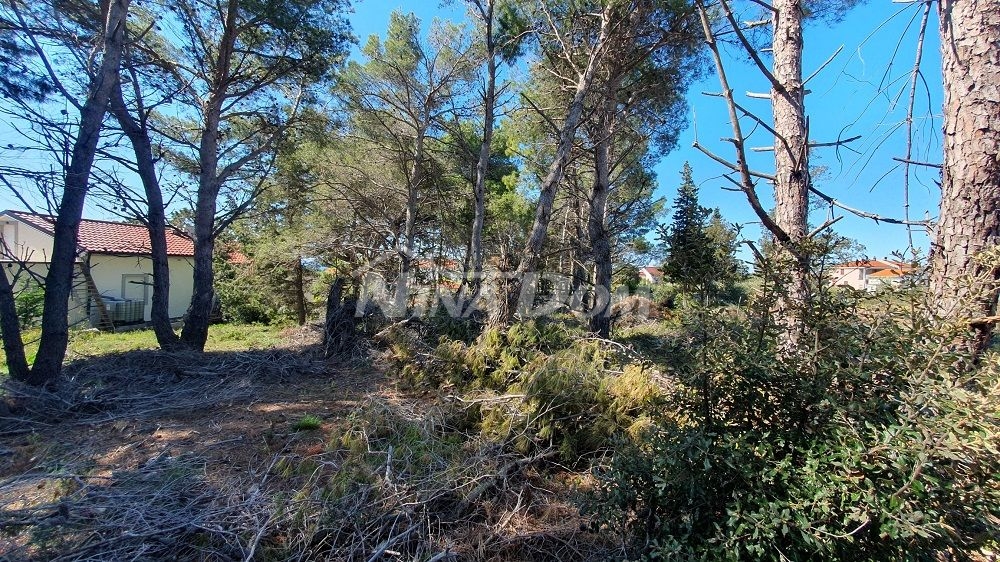 Nezastavěná část stavební zóny 971 m2 (UPU)