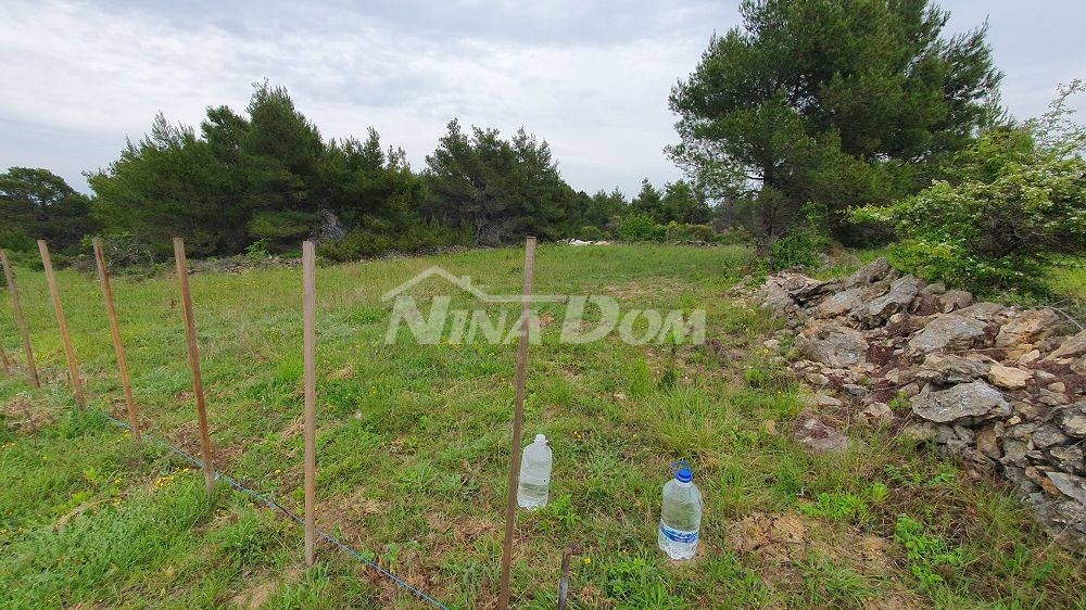Zemědělská půda, 899 m2