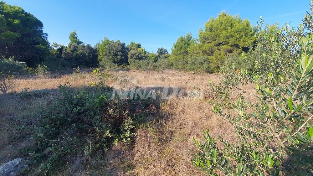 Zemědělská půda s olivovníky, v blízkosti domů 